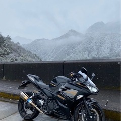Kawasaki Ninja250 2020年モデル　ABS付