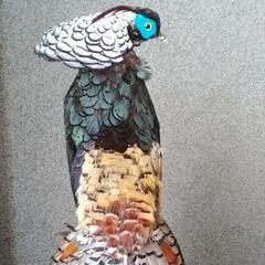 金鶏鳥　錦織鳥の画像