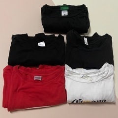 お酒Tシャツ　5枚セット