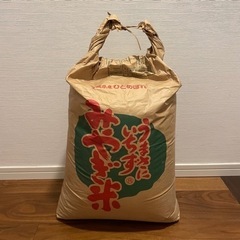 お米🌾
