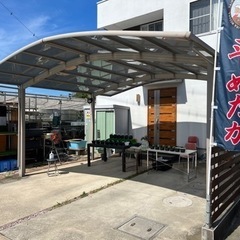 8月12日めだか販売の画像