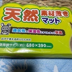 天然素材敷マットＬＬの画像