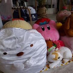 ぬいぐるみの画像