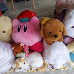 ぬいぐるみの画像