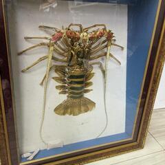 巨大海老の飾り物 剥製 特大 伊勢海老 額縁 エビ ガラスケース入り 縁起物 壁飾り