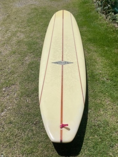 初心者　楽勝テイクオフ　ロングボード(サイズ10)フィン・リーシュ付き