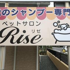 犬のシャンプー専門店