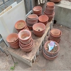 お譲りする方が決まりました！④無料植木鉢、プランターお譲りします...