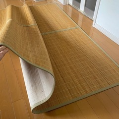 おしゃれござの画像