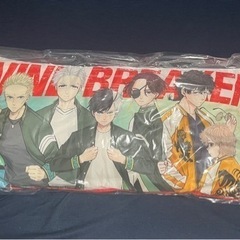 WIND BREAKER ロングピロー
