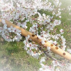 ケーナを楽しもう〜♪ - 友達