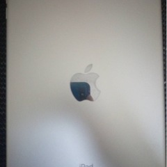 裏起毛Feels. 上杉柊平ピグメントパーカーネイビー本田翼着用