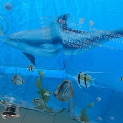 自動空気入れ付き　ビニールプール　ビッグサイズ　水遊び　子供用の画像