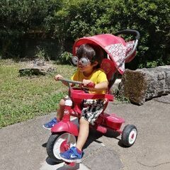 三輪車　の画像