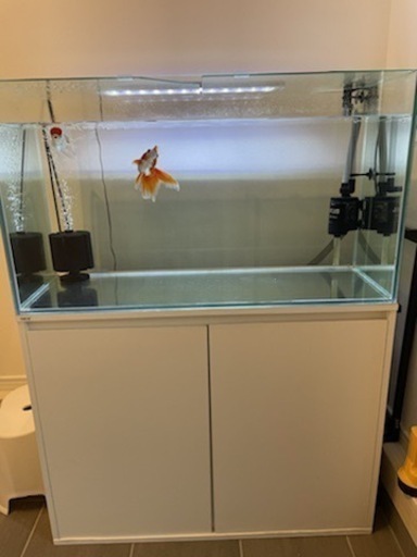 ガラス水槽セット　900