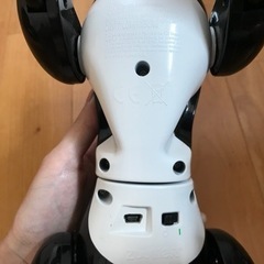 [中古] Zoomer ネコちゃんバーチャルペットの画像
