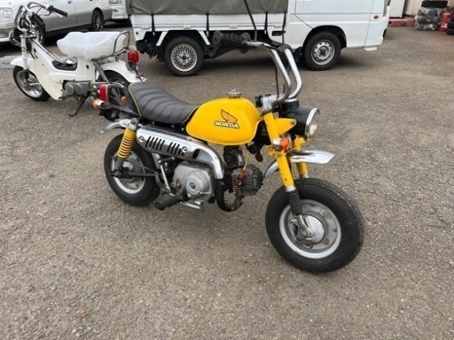 絶好調‼️4Lモンキー‼️希少‼️