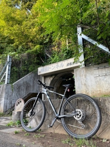 キャノンデール2020年式f-siカーボン４