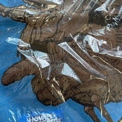 ハウルの動く城クッションカバーの画像