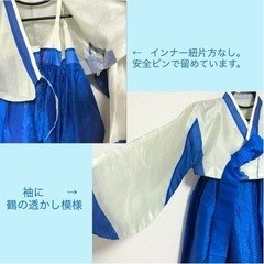 大人サイズ 韓服チマチョゴリ（インナー付）の画像