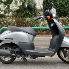 値下げ‼︎【快調】 原付 ホンダ トゥディ AF67 4st H11の画像