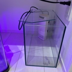 【決まりました】60センチ水槽LEDライト上部フィルター　ガラス蓋アク抜き済流木の画像