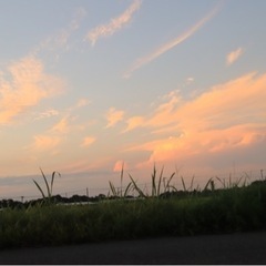 カメラ📸仲間募集❗️✨ - 目黒区