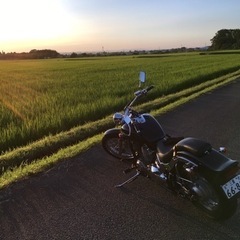 ドラッグスター400 4TR  走行少ない！の画像