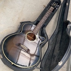タカミネ TP-106 帰省中 短期出品