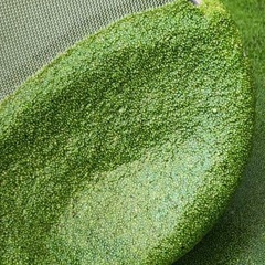 🐸 E)メダカの健康維持ミジンコ浮草❣️残り僅かです❣️