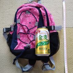 【中古使用品】幼児用ナップサック（小型）の画像