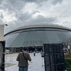 本日、野球観戦！