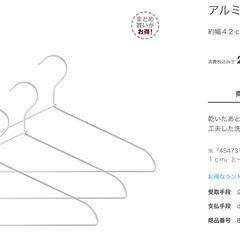 42cmハンガー18本 24ピンチ角型ハンガーの画像