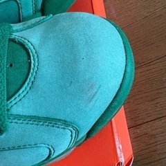 エアジョーダン6ゲータレード