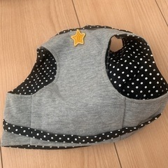 猫　ハーネス　の画像
