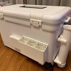 伸和(SHINWA) ホリデーランドクーラー33H ホワイト 33L