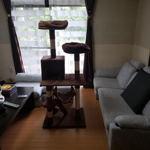 キャットタワー