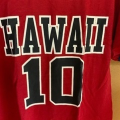 新品未使用　ハワイで購入したTシャツ　HAWAI柄　サイズS(日本のMくらい) 身幅45、着丈69センチの画像