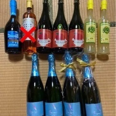 お酒　ワイン　リキュール　10本　カルディ