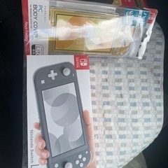任天堂Switchライト　グレー　ハードケース付