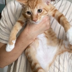 可愛いが盛り盛り！