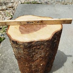 どれでも500円♪　薪ストーブやキャンプの焚火の焚付け作りや薪材を作る薪割り台や丸太の椅子やガーデニングにいかがでしょうか♪の画像