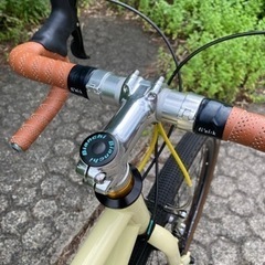 Bianchi lupo 2013の画像