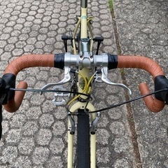 Bianchi lupo 2013の画像