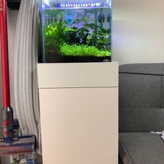 ADA水槽セット