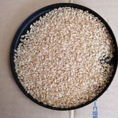 令和三年産　徳島県産コシヒカリ⑦　玄米30kg