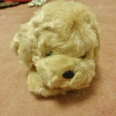 小さな犬のぬいぐるみ