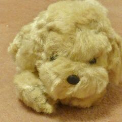 小さな犬のぬいぐるみの画像