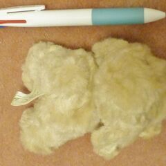 小さな犬のぬいぐるみの画像