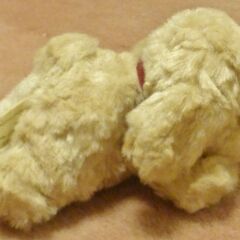 小さな犬のぬいぐるみの画像